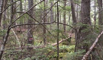 B-2BackLot Pioneer Path, Aurora, ME 04605