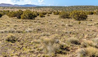 Co Rd 5106 Lot # 1 1.1 Acres, Concho, AZ 85924