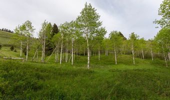 Trail Creek Road Lot 3, Bozeman, MT 59715