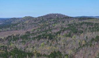 200 TABLEE Ln 1, Ashland, AL 36251