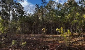 0 County Road 93, Bankston, AL 35554
