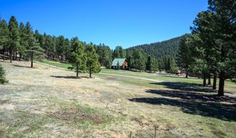 65 Saint Andrews Way, Angel Fire, NM 87710
