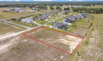 5995 SW 124TH Way, Archer, FL 32618