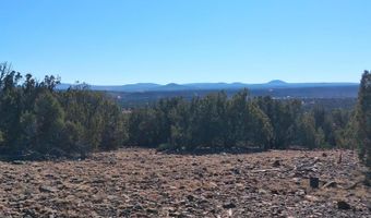 0202 County Rd, Concho, AZ 85924
