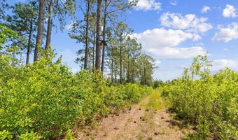 5840 Green Swamp Rd NW, Ash, NC 28420