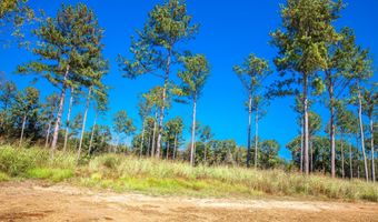 510 Rabbit Pen Dr, Appling, GA 30802