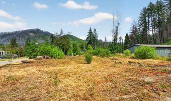51790 Echo St, Blue River, OR 97413