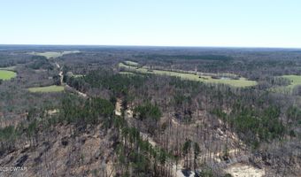 Tract 8 State Route 225, Bethel Springs, TN 38315