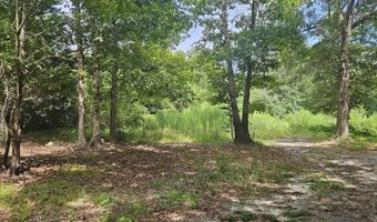 1049 Graham Pond Rd, Angier, NC 27501