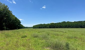 0005 Johnson Line Rd, Bolton, MS 39041