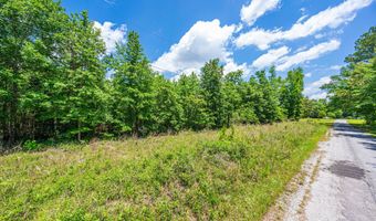 0 Park Cir, Branchville, SC 29432