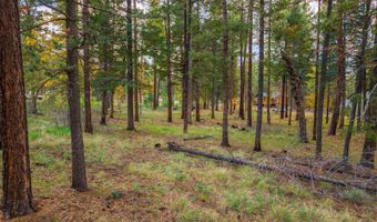 COUNTY ROAD 2196, Alpine, AZ 85920