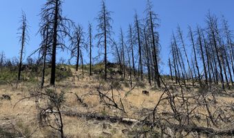 0 Wren Dr Lot 6, Bonanza, OR 97623