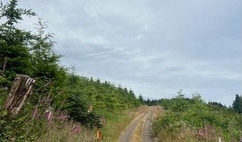 Northrup Creek Rd, Birkenfeld, OR 97016