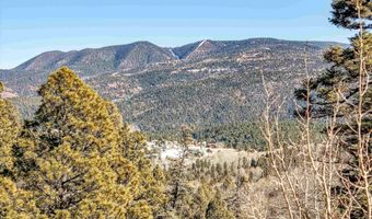 45 And 46 Sacramento Dr, Angel Fire, NM 87710