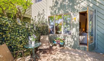 125 E Hyman Ave 1A, Aspen, CO 81611