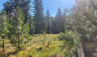 16 Sarah Way, Cascade, ID 83611