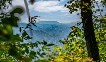 10 Beaverbrook Ct, Asheville, NC 28804