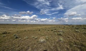 BUGGY RD, Carpenter, WY 82054