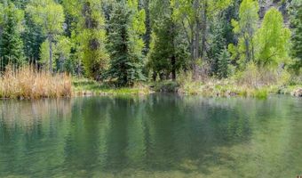 455 River Ranch Rd, Bayfield, CO 81122