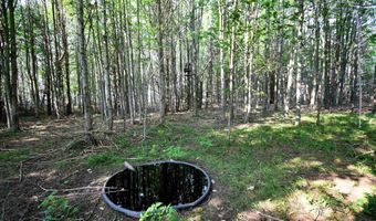 9537 LAKEVIEW Rd, Alanson, MI 49706