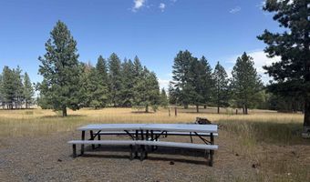 Tbd Harlow Ridge Rd-Cloverland Estates Lot 37, Asotin, WA 99402