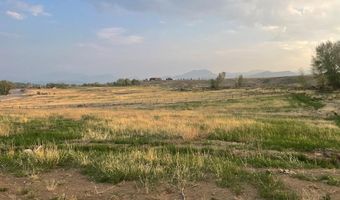 1111 Buckskin Run, Challis, ID 83226