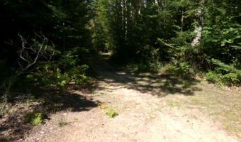 V/L 30AC Lake Winyah Road, Alpena, MI 49707