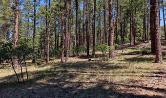 79 Spruce Way, Bayfield, CO 81122