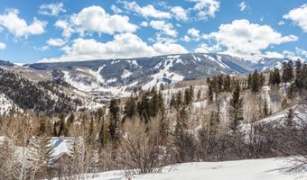 312 Holden, Beaver Creek, CO 81620