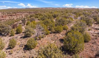 4240 W Cienega Dr, Ash Fork, AZ 86320