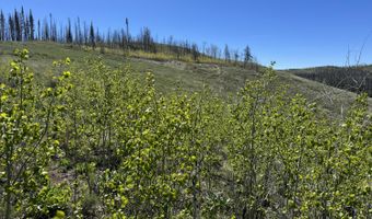 TBD MOUNTAIN VIEW Drive, Bondurant, WY 82922