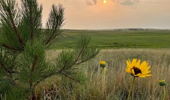 Yellowthroat Haven, Ainsworth, NE 69210