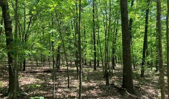 0 County Road 224, Alton, MO 65606