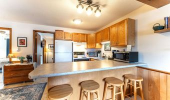 48 Linderhof Golf Course Rd E-3, Bartlett, NH 03812