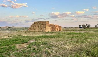 2303 Lane 40, Basin, WY 82410