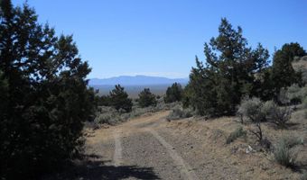 8210 Ml Crk Rd, Battle Mountain, NV 89820