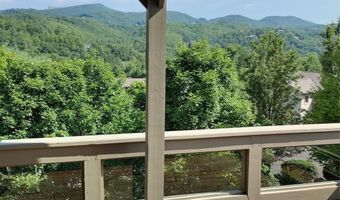 372 Silver Springs Dr 20, Banner Elk, NC 28604