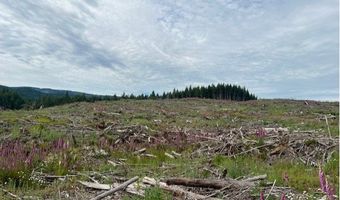 Northrup Creek Rd, Birkenfeld, OR 97016