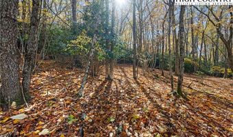 000 Pigeon Roost Rd, Banner Elk, NC 28604