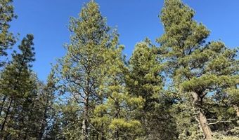 Badger Lane, Bonanza, OR 97623