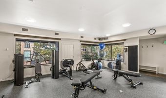 1039 E Cooper Ave 20, Aspen, CO 81611