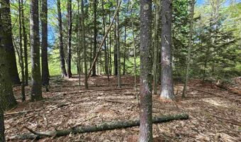 Province Road lot 26, Belmont, NH 03220