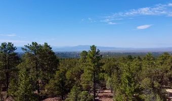 Tract B 266 Gallina Canyon Road, Valdez, NM 87580