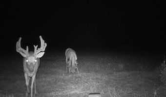 607 Hwy 69, Arma, KS 66712