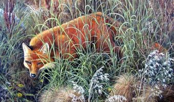 355 S WASHINGTON St, Afton, WY 83110