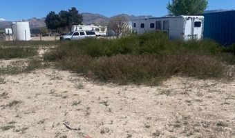 1675 Peoria St, Sandy Valley, NV 89019