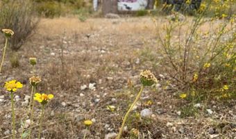 0 Lot 82 In Sw 1/4 Of Lot/Sec 5 Blk/Div/Twn 4N Reg/R, Agua Dulce, CA 91390