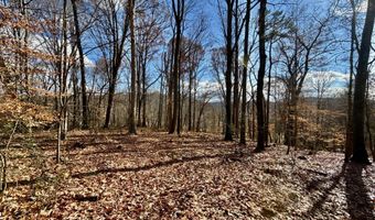 1520 Brittontown Rd, Afton, TN 37616