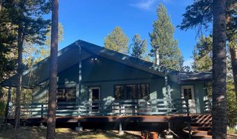 33 N Skinner Rd, Allenspark, CO 80510
